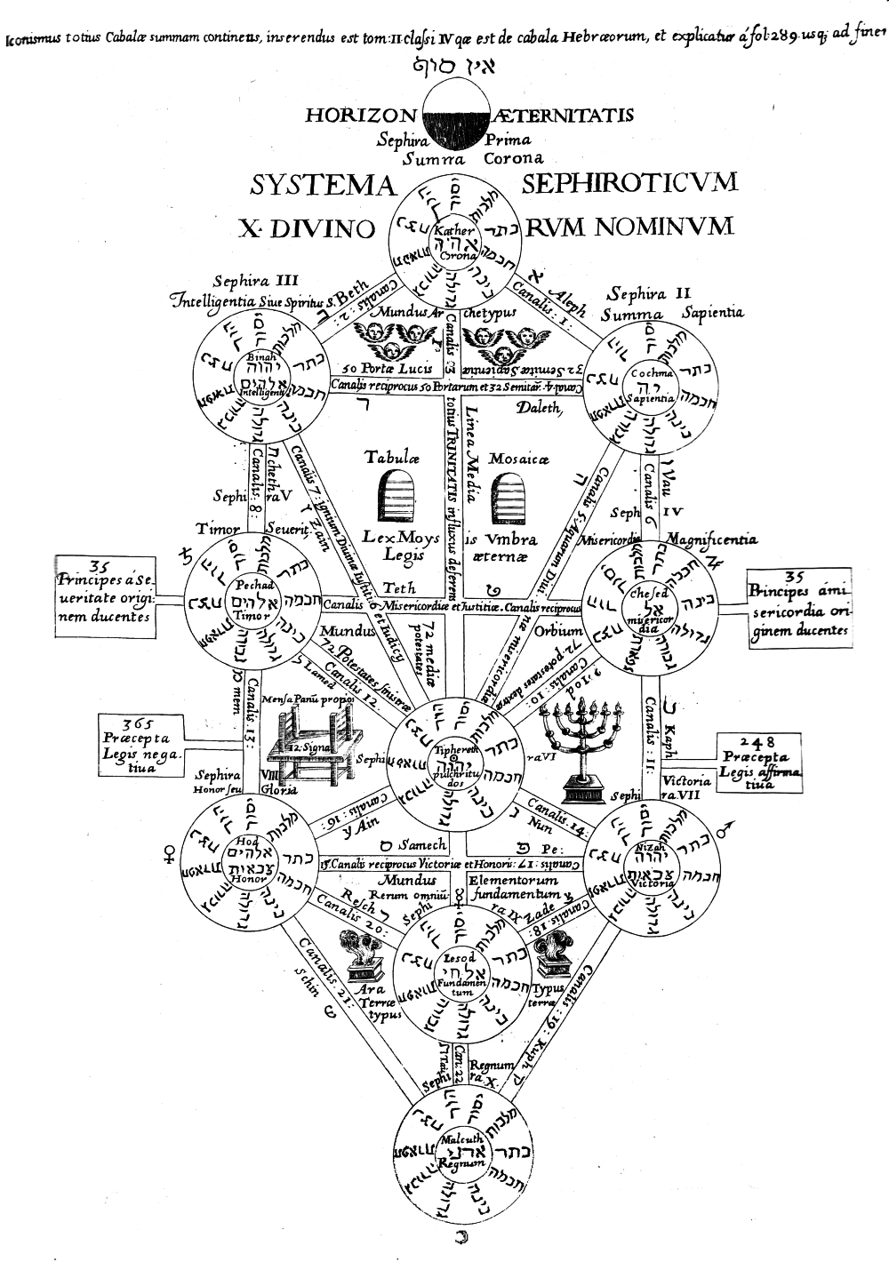 Historic Tree of Life